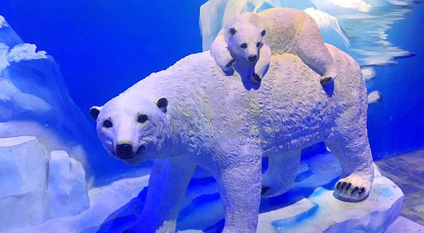 泸州欢乐海底世界