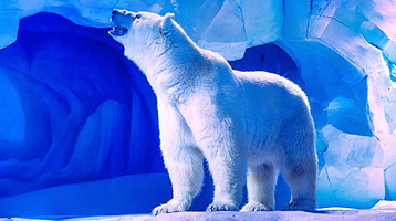 冰山北极馆