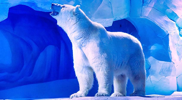 冰山北极馆