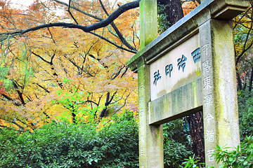 西湖风景名胜区第 217 张图片