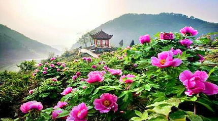 恺之峰旅游区第 21 张图片