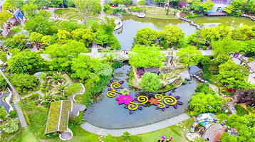 上房园艺·梦花源