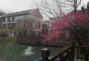 西湖风景区-海月水景公园