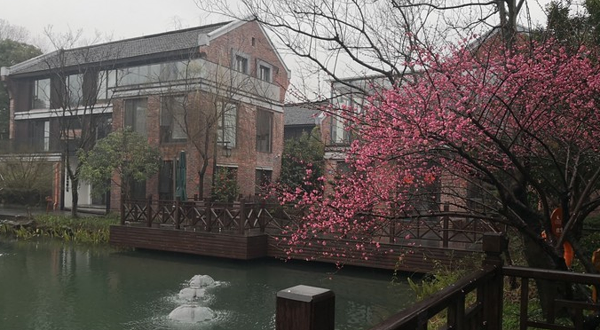 西湖风景区-海月水景公园