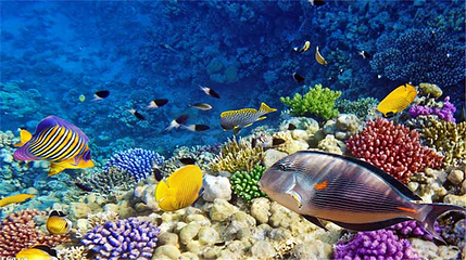 多彩贵州城极地海洋世界第 3 张图片