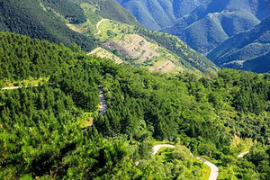 蒲洼乡花台景区