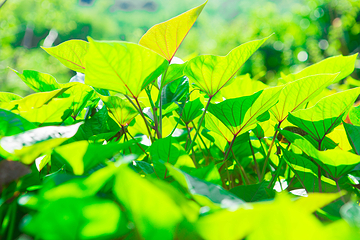 耕山小寨欢乐农场第 10 张图片