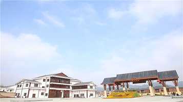 修文农业嘉年华