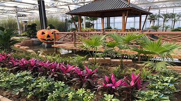 少郎川农业休闲旅游度假区