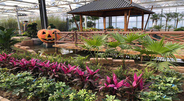 少郎川农业休闲旅游度假区