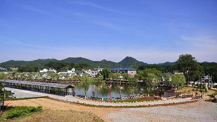 万安田北农民画村第 12 张图片