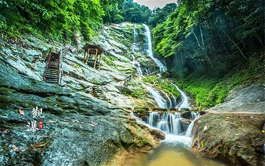 百丈崖风景区第 12 张图片