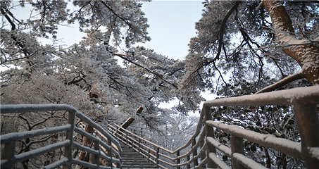 明堂山风景区第 51 张图片