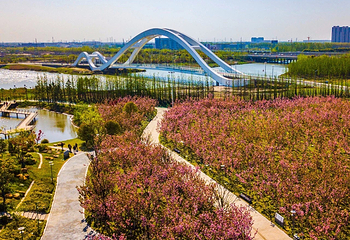 运河三湾风景区第 3 张图片