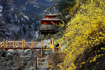九如山休闲旅游度假区第 199 张图片