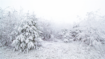 玉舍雪山滑雪场第 61 张图片