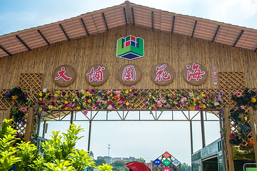 大埔围美丽乡村景区第 13 张图片
