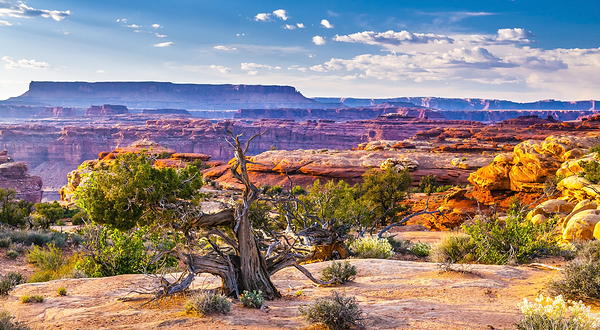 峡谷地国家公园