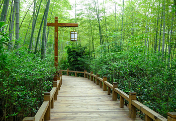 天目湖旅游度假区第 13 张图片