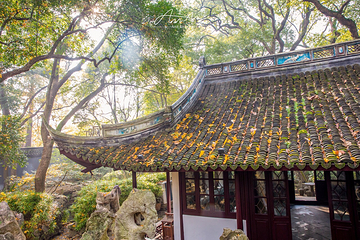 绮园景区第 25 张图片