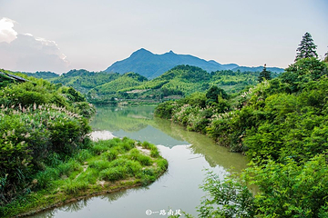 溪头旅游村第 9 张图片
