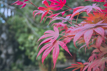 百花潭公园第 18 张图片