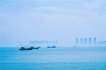 桑岛第 12 张图片