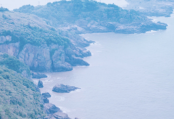 棕榈湾旅游度假景区第 33 张图片