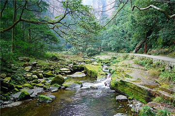 金鞭溪峡谷第 7 张图片