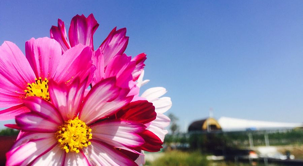 富祥温泉生态农庄