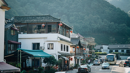 梅家坞村第 11 张图片