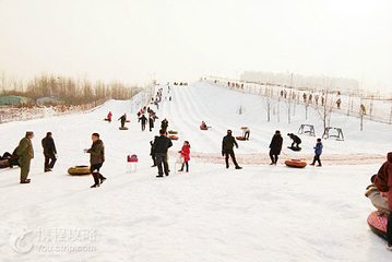 东飞滑雪场第 4 张图片