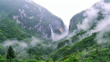鹿院坪第 88 张图片