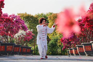 九龙湾花星球第 16 张图片