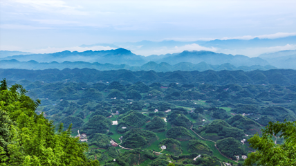 蜀南竹海第 13 张图片