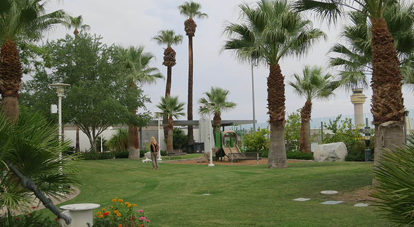 Palm Springs Dog Park