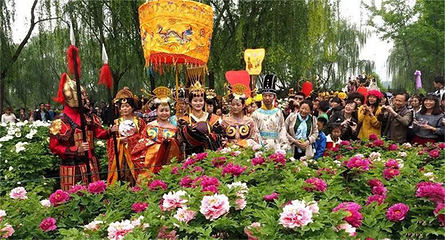 北京牡丹园第 10 张图片
