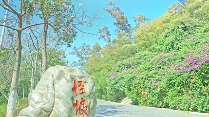怪坡第 1 张图片