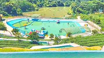 玉湖山生态茶园