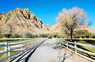 斯普林山牧场州立公园