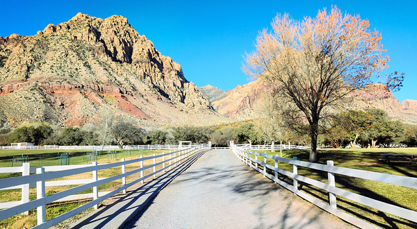 斯普林山牧场州立公园
