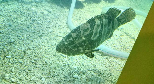 山西海立方海洋公园