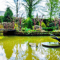 Arboretum Trompenburg