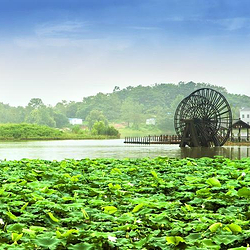 杏花村文化旅游区