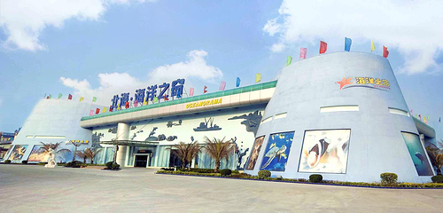海洋之窗第 33 张图片