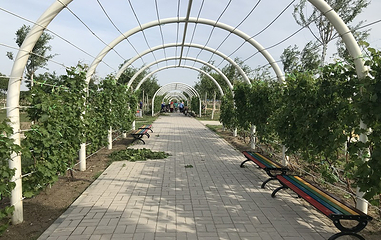 稻香农谷第 23 张图片