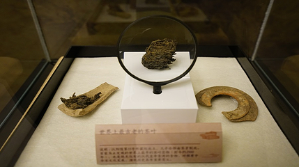 中国茯茶文化博物馆第 21 张图片