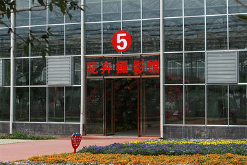 武功山花涧里第 21 张图片
