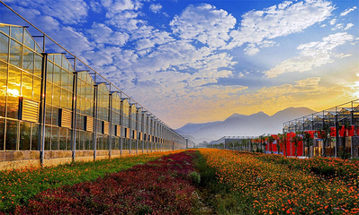 武功山花涧里第 5 张图片