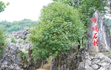 神峰关生态旅游度假区第 2 张图片
